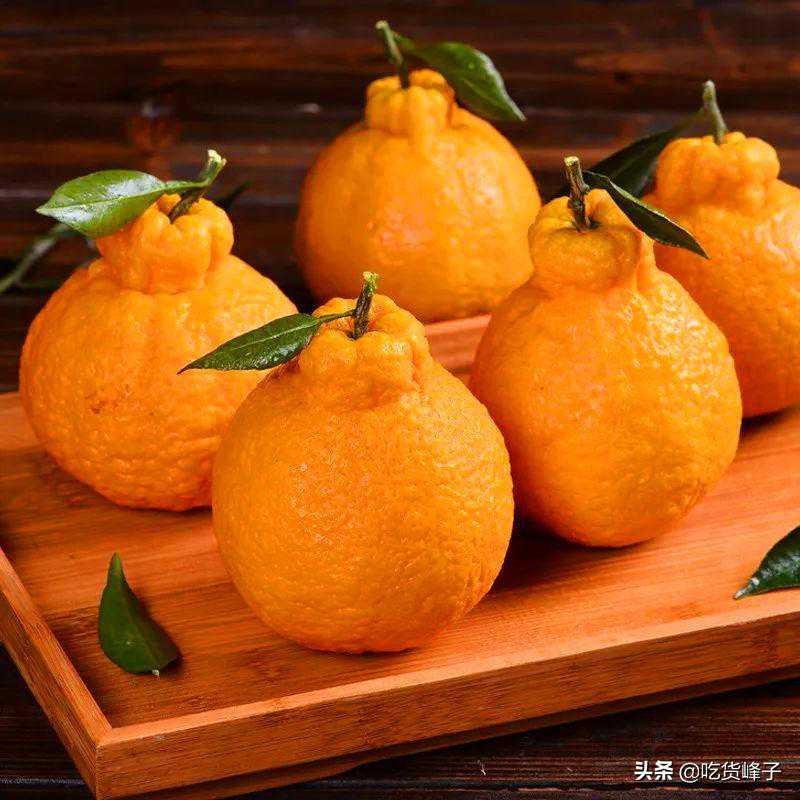 丑橘是转基因水果吗？如何区别丑橘和粑粑柑？不要买错了