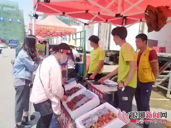 临沂人注意！这些水果价格大跳水！“水果自由”来了