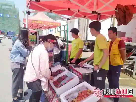 临沂水果大量上市价格亲民“水果自由”要回来了