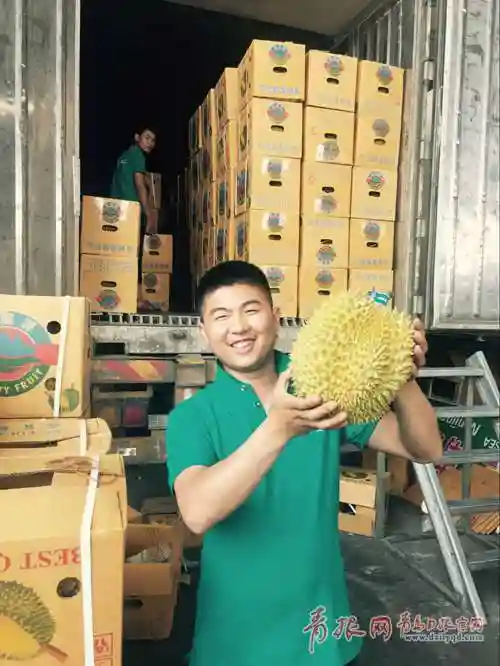 青岛打造江北最大进口水果集散地 洋水果更加便宜