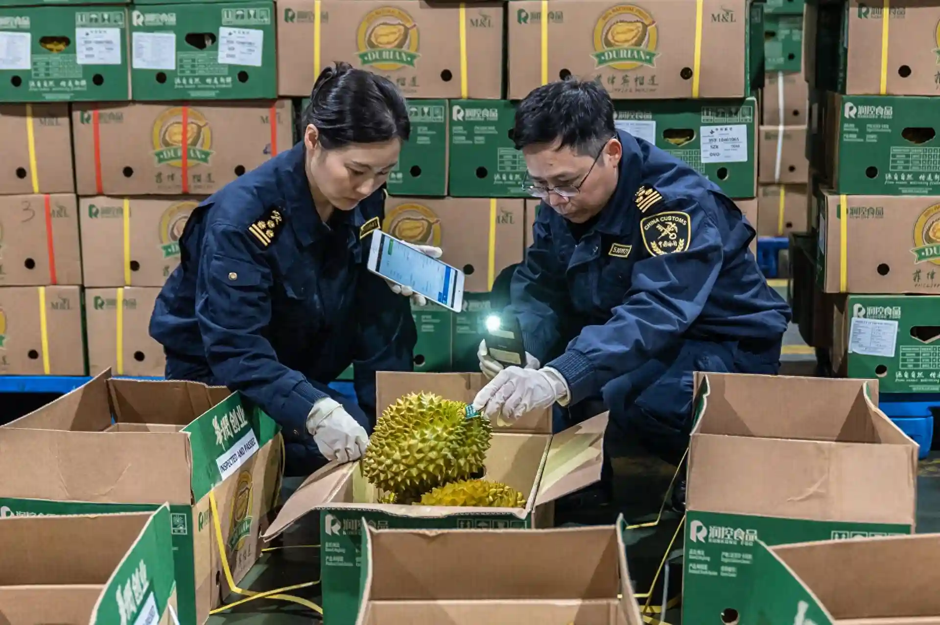 66吨进口水果顺利通关！深圳机场口岸新年水果进口忙
