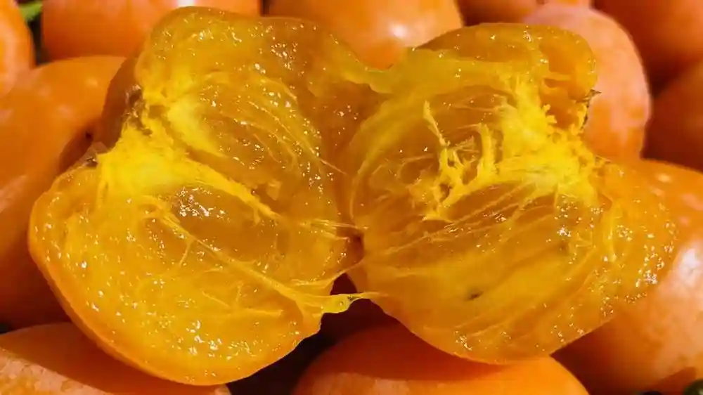 去水果店拿货应该注意什么，水果店怎么去批发市场进货
