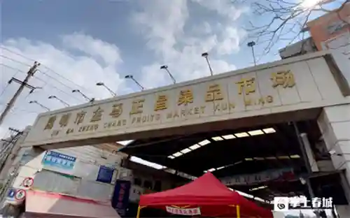 在昆明实现水果自由！小掌带你打卡张静初同款“神仙”水果