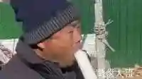山东“水果葱”走红集市