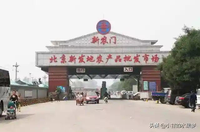 北京的水果批发市场地址在哪里？水果批发价大概是多少呢？