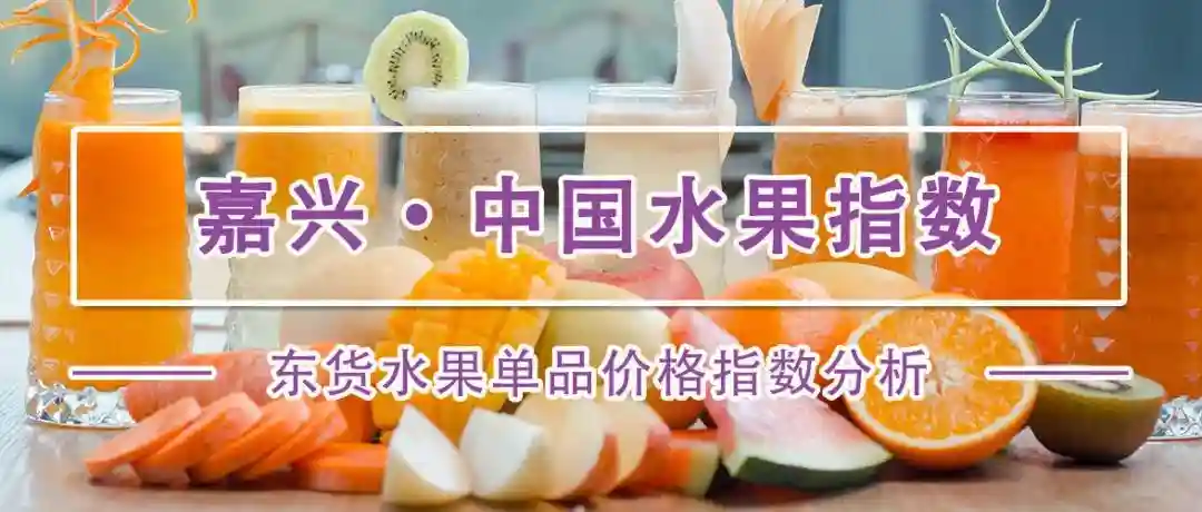 东南亚水果在“嘉”走俏！这份进口水果价格指数分析报告请查收