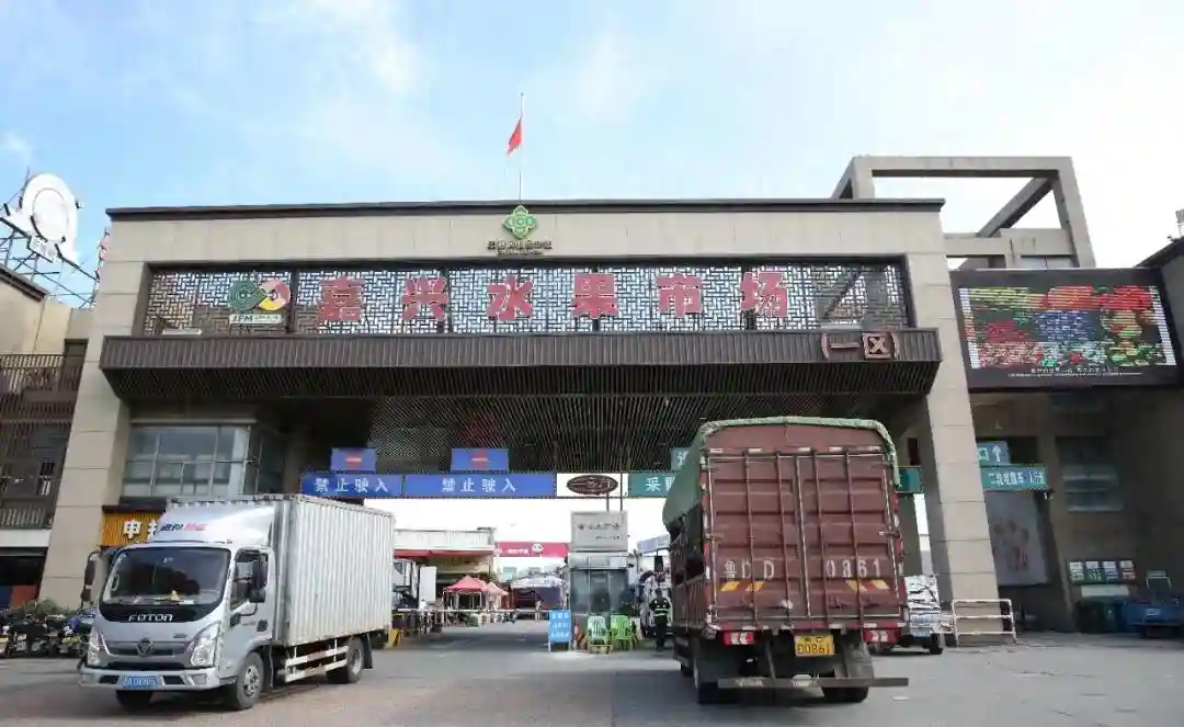 【走近买家】嘉兴水果市场