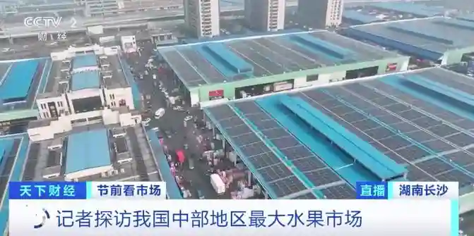 琳琅满目！进口水果销量大增！记者探访我国中部地区最大水果市场→