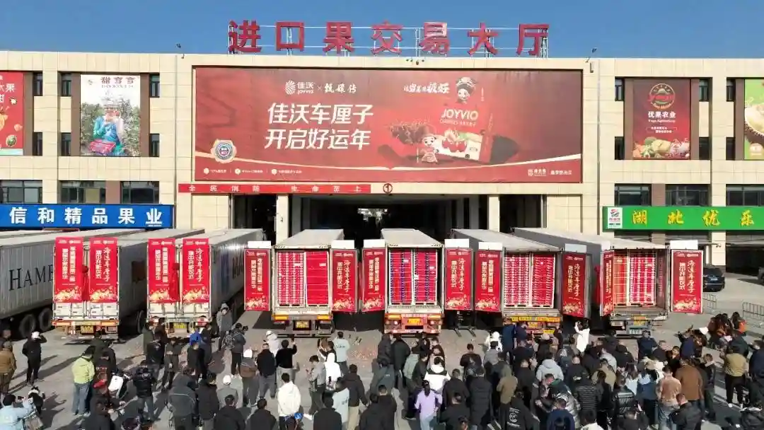 来首衡城，开启“水果自由”模式！