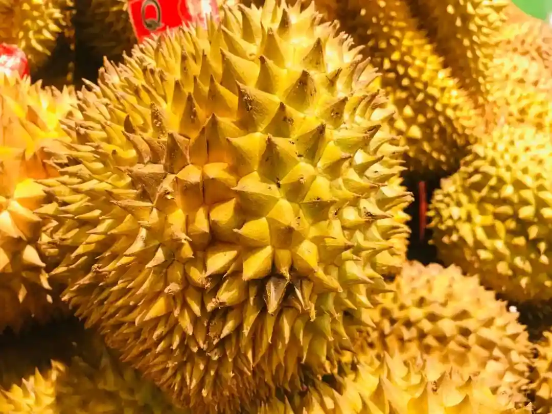 鲜美的外国水果如何进入中国？