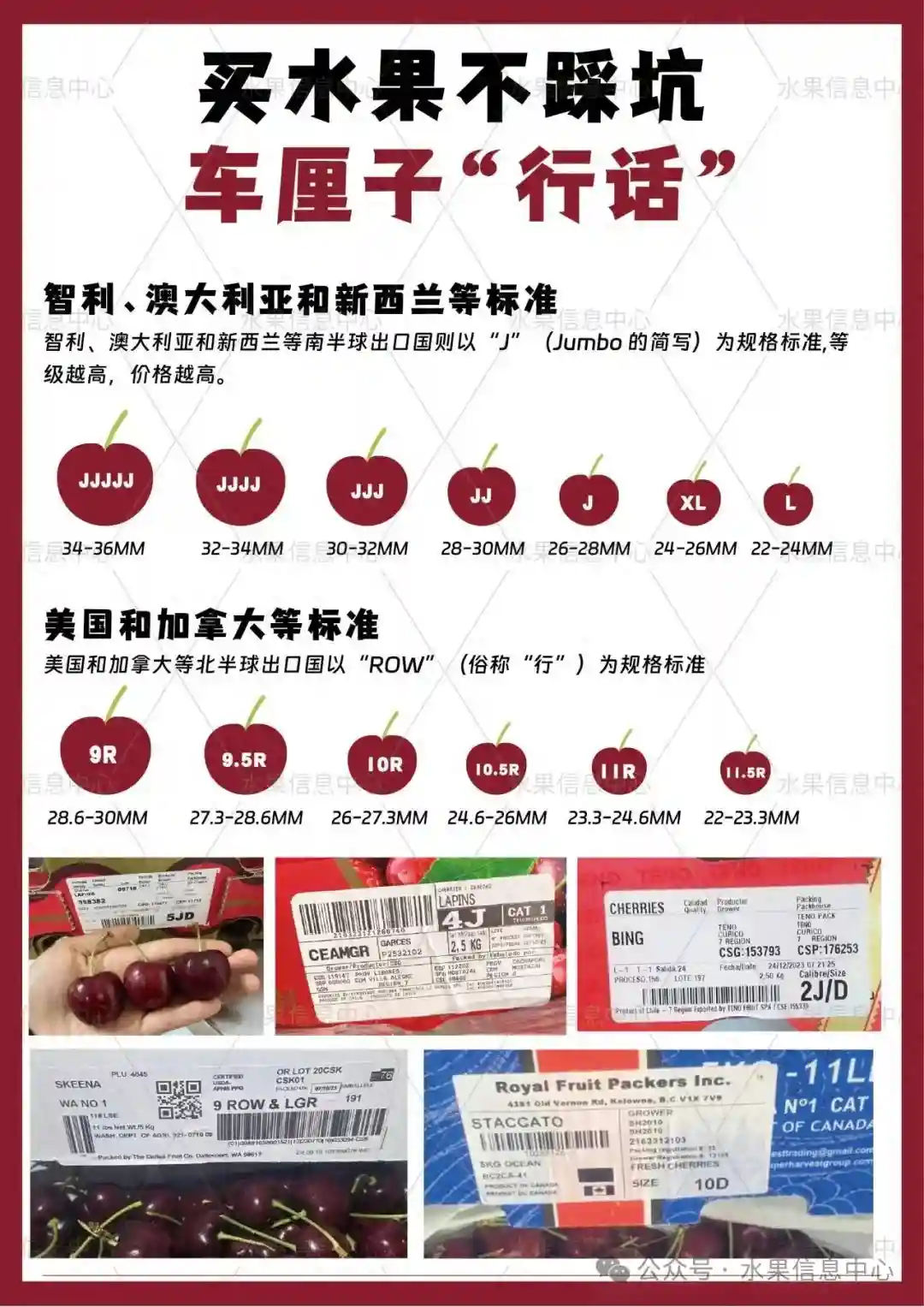 如何教你识别各种水果的级别！