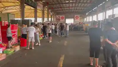 节假日什么水果最紧俏？奉贤这个华东地区最大进口水果专业市场还有好消息→