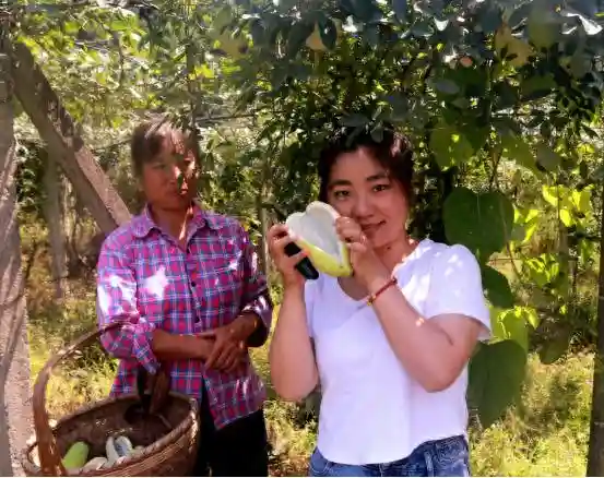 休宁县：七月瓜特色水果采摘欢