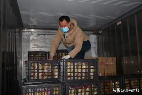 晨曦济南 | 八里桥水果商的“夜与晨”