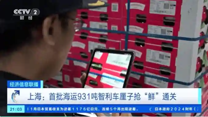 价格大跳水！“顶流”水果平均降幅20%