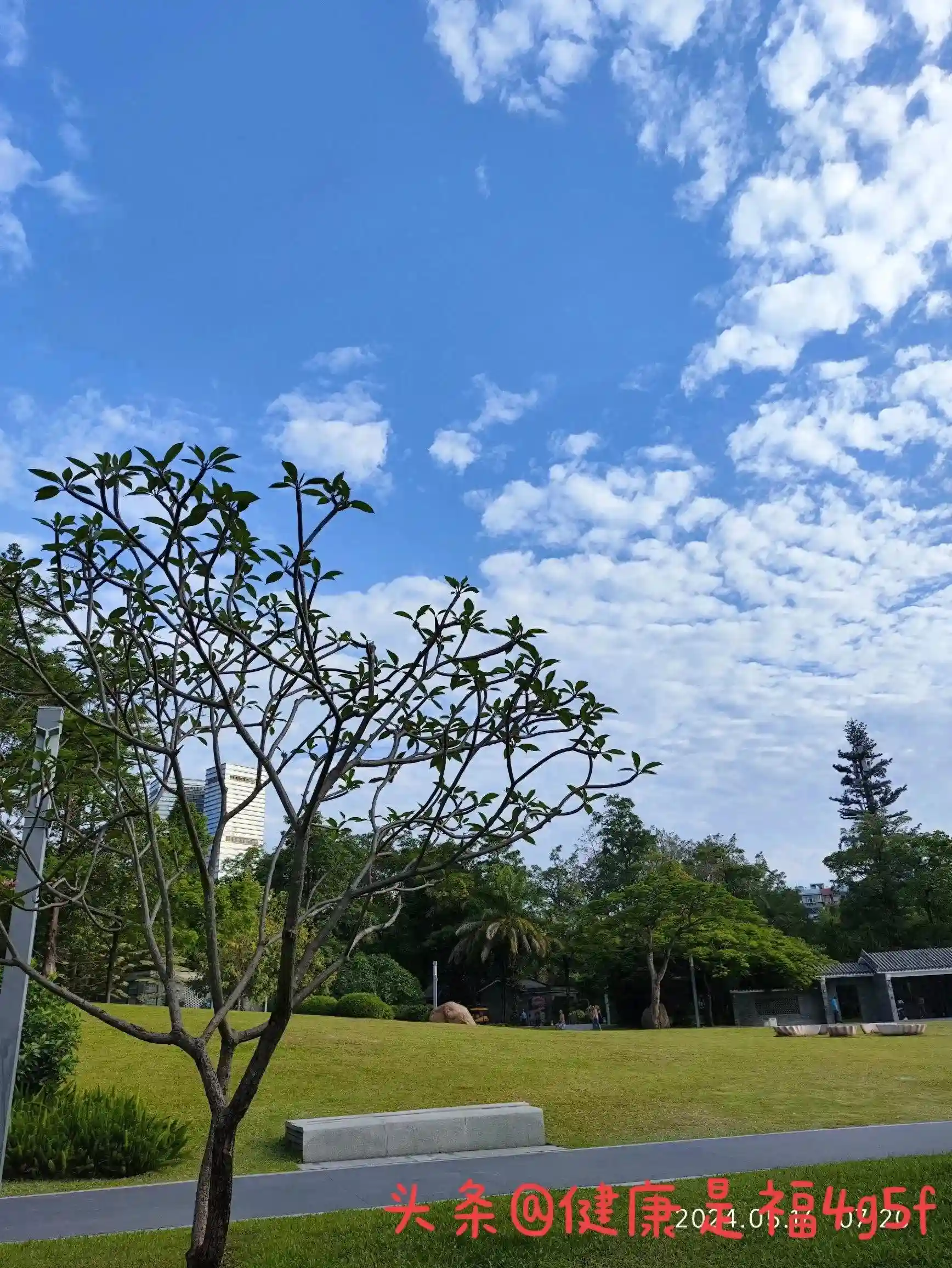 暂住深圳生活记录之：水果的价格