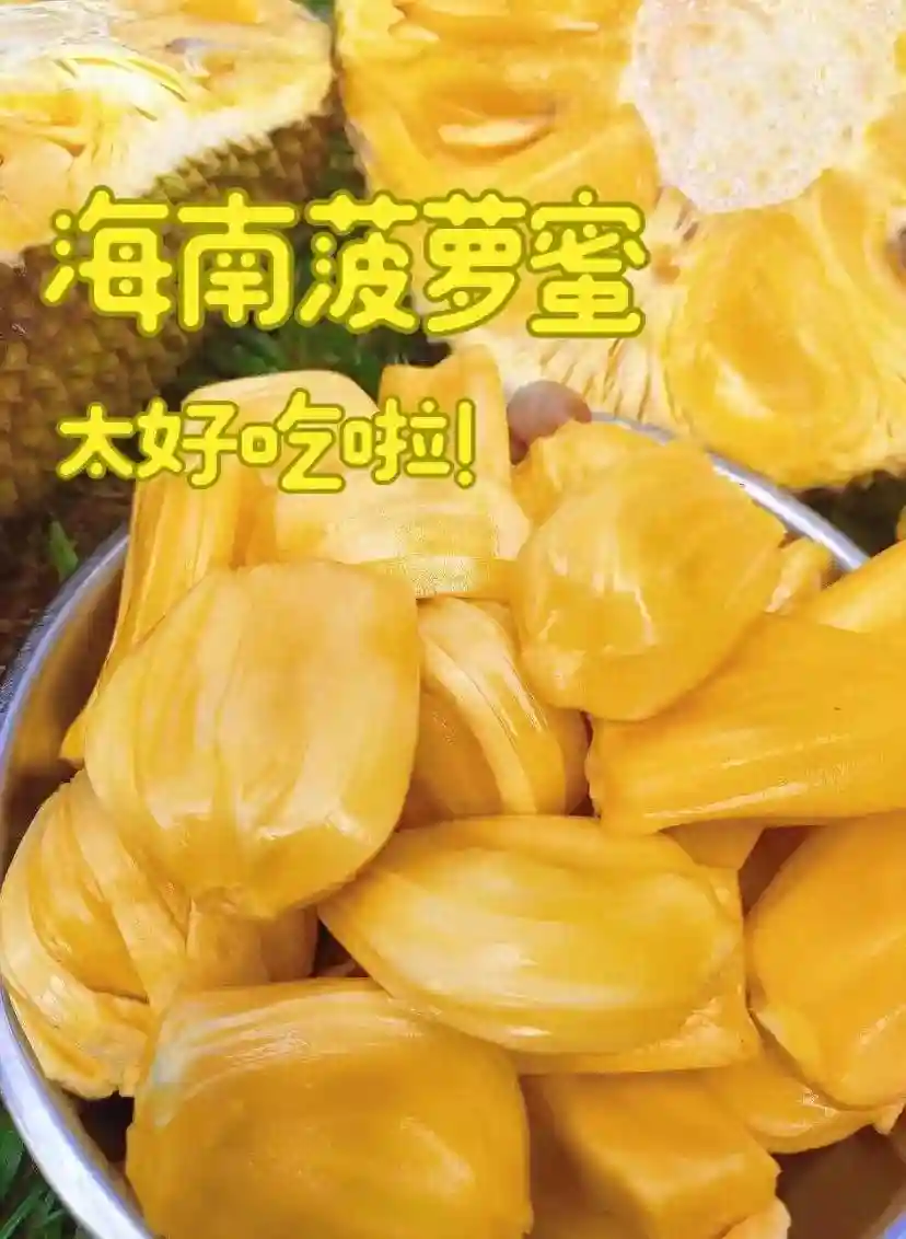 海南菠萝蜜—热带水果皇后的魅力