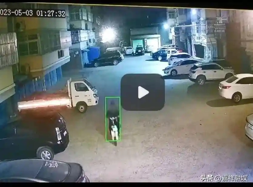 小偷偷偷偷水果 警网网网网盗贼