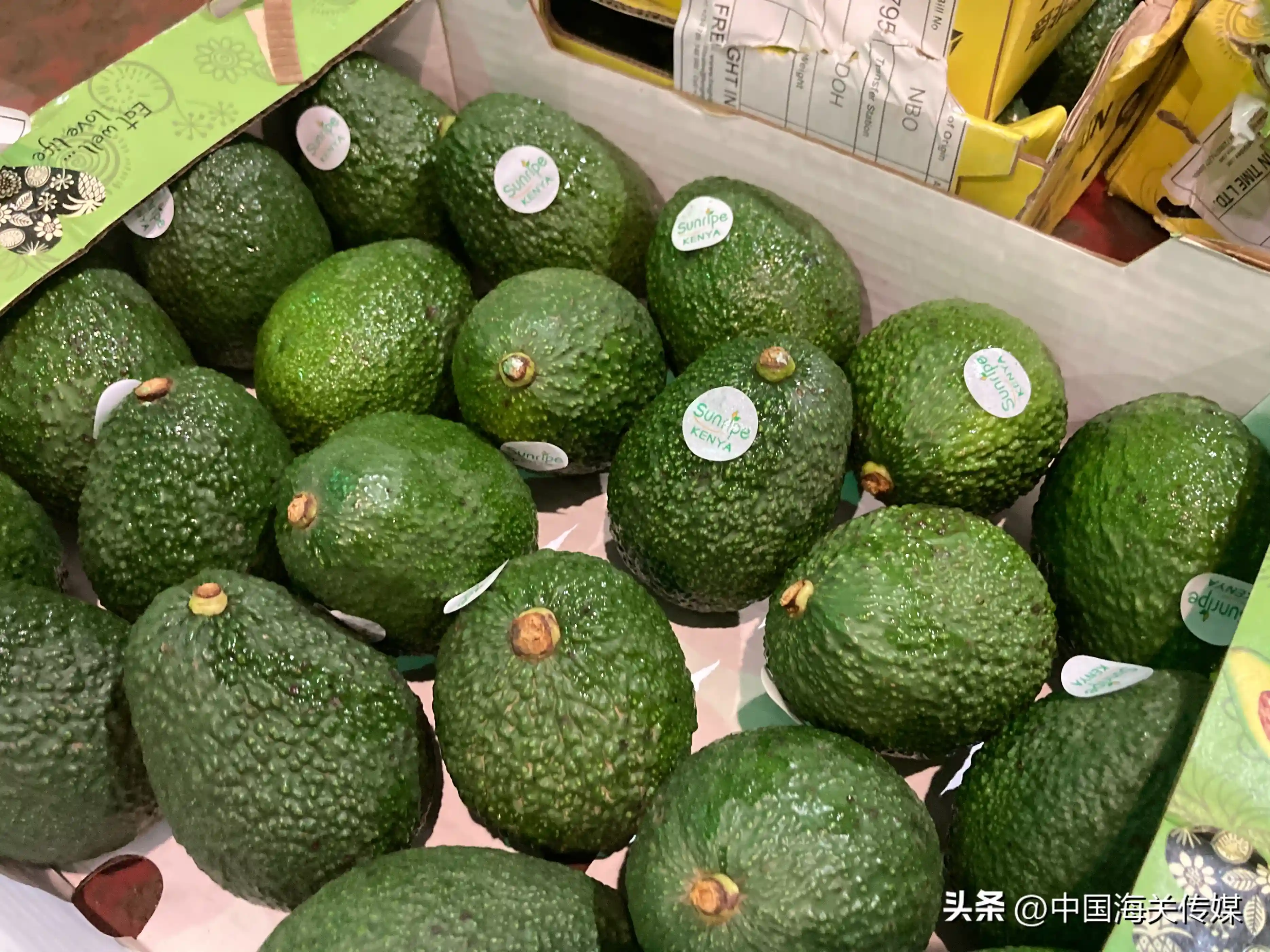 “一带一路”沿线国家输华水果添新品