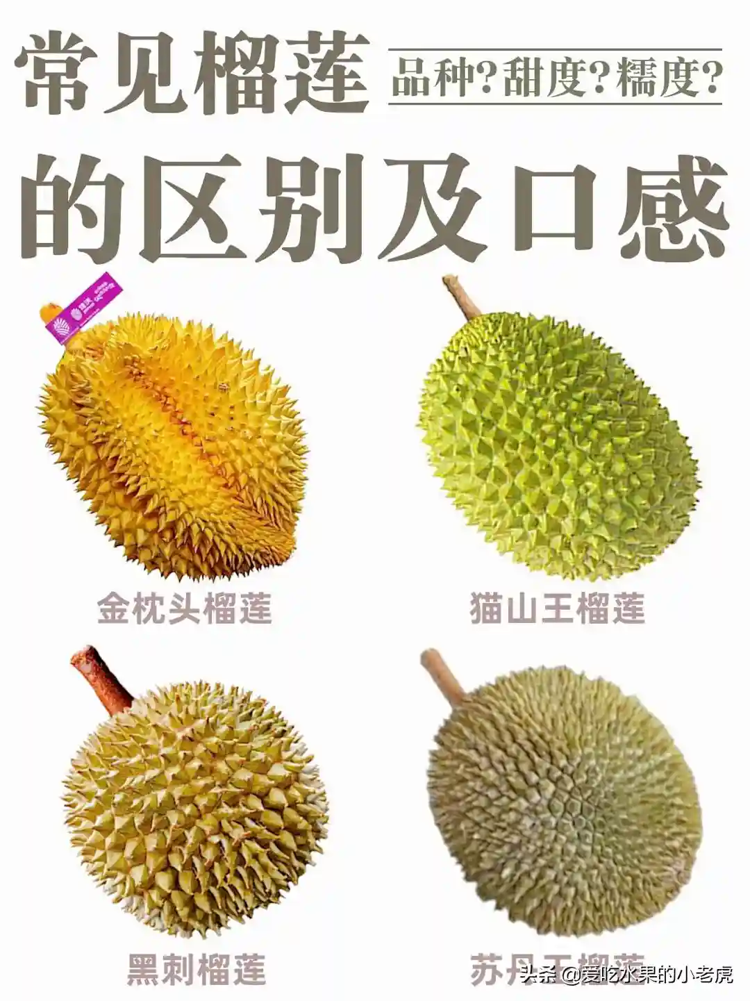 水果的知识大全《榴莲的品类与口感》