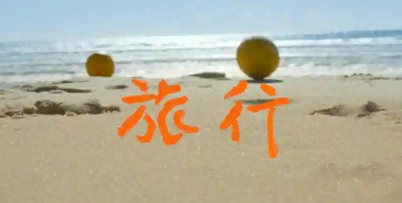 清凉解乏，犒劳人心的纯净水果——椰子
