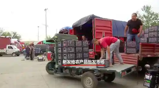 水果价格暴涨 挣钱最多的是这群人