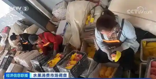 价格大跌！这种水果遇历史最严重行情