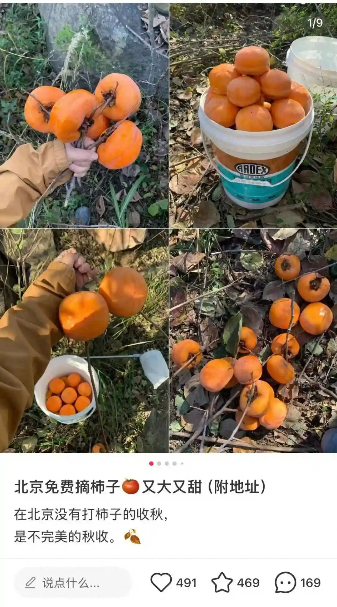 为什么国外的水果烂在树上也没人摘