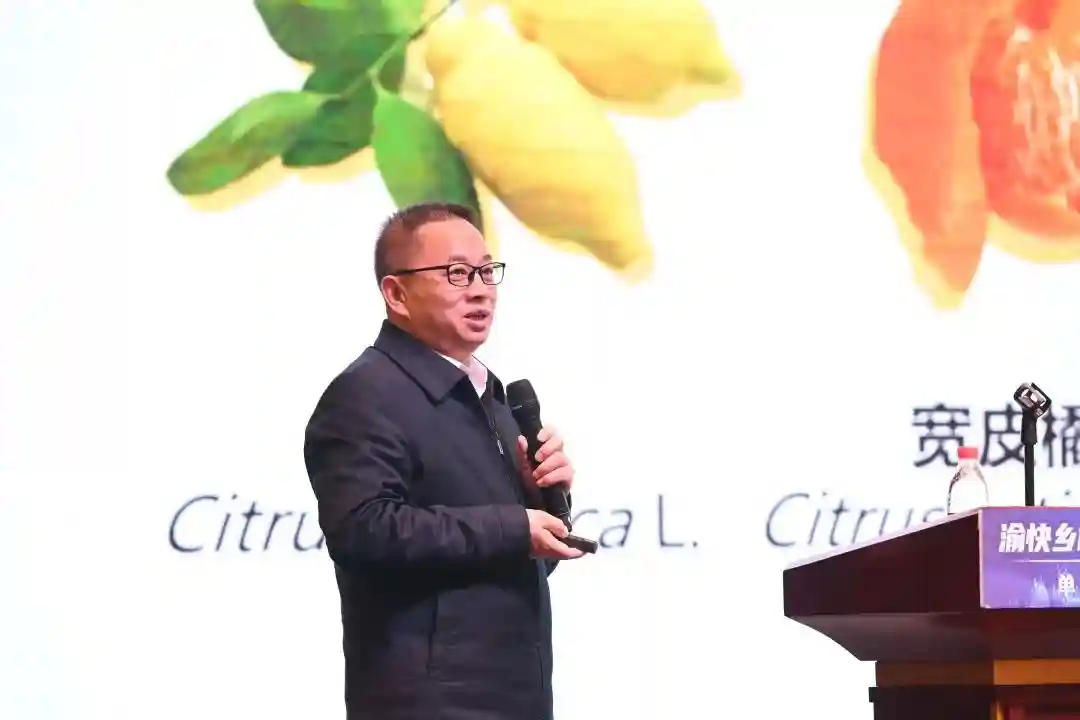 柑橘，不仅仅是多汁的水果！院士这样说→