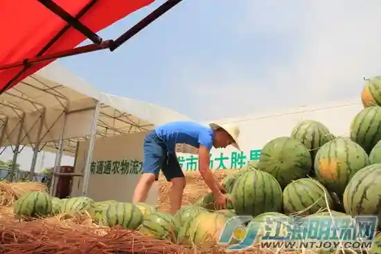 炎炎盛夏 通农物流多汁水果俏销价低