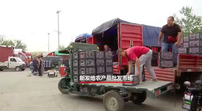 水果价格暴涨！挣钱最多的，竟然是这群人
