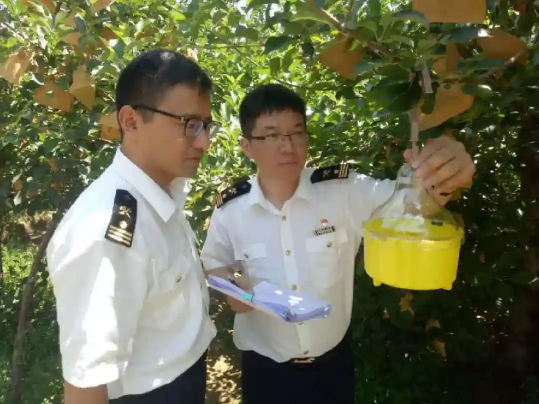 一篇看懂：出口保鲜水果检验检疫全流程