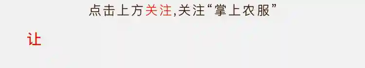 为什么国外的水果按个卖，中国的按斤卖？