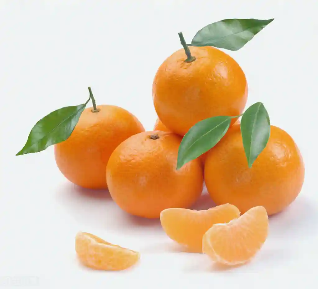 新品种水果明日见柑橘（日本阿斯蜜）简介