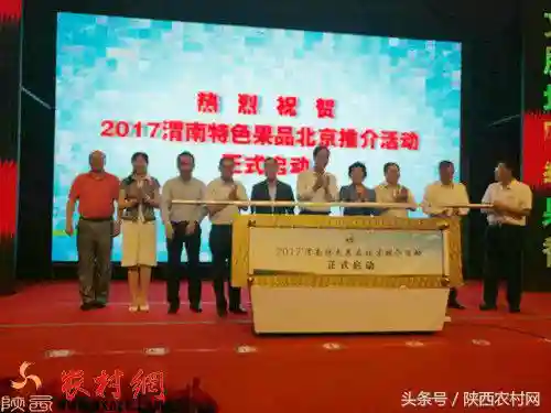 渭南实施水果区域公用品牌提升再出发