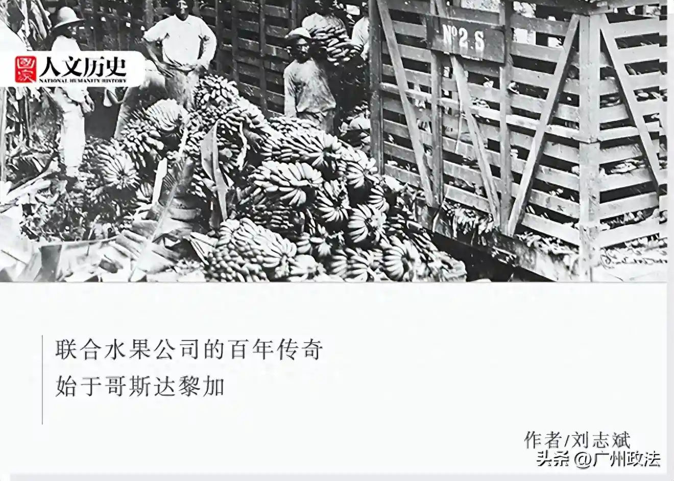 香蕉还有共和国？这个水果公司你听说过吗？