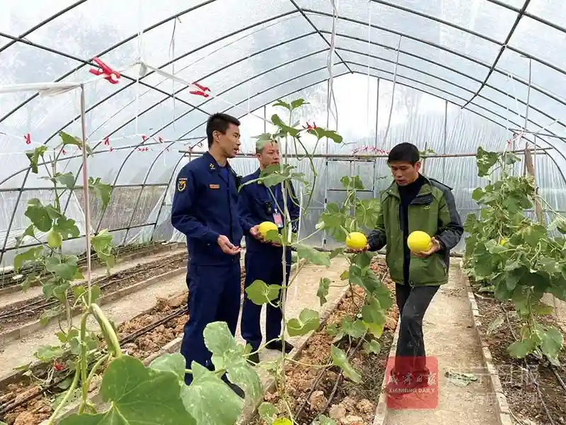 ​瓜农水果滞销  咸安消防出资出力为民解忧