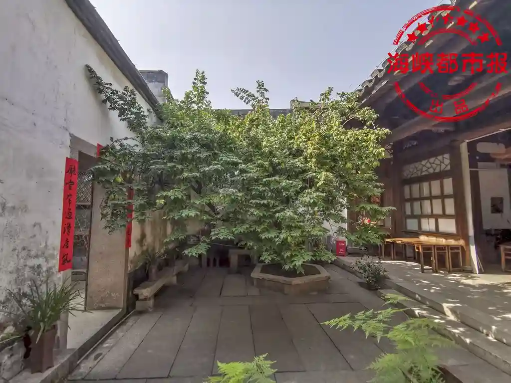 杨桃：来自星星的水果！千年前就在福州种植