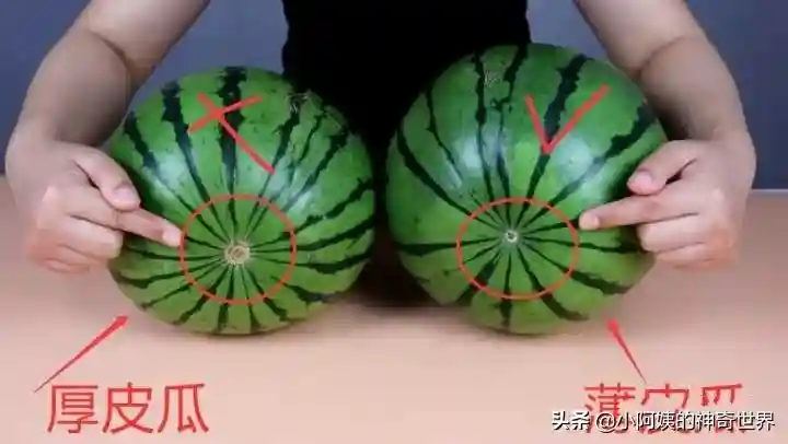 「热点关注」我夜市摆地摊卖水果，月赚8000-10000元
