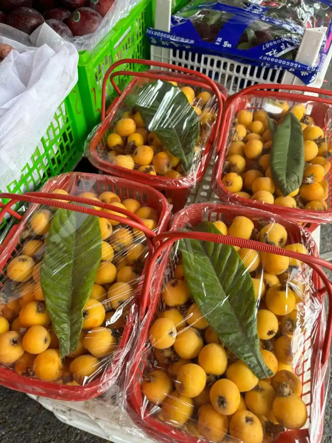 牛油果、蓝莓来了！首批钱凯港直航运输的秘鲁水果在上海顺利通关