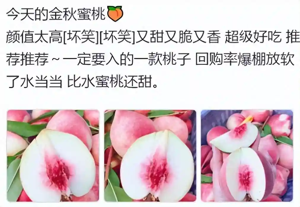 金秋蜜桃文案：朋友圈买金秋蜜桃水果文案