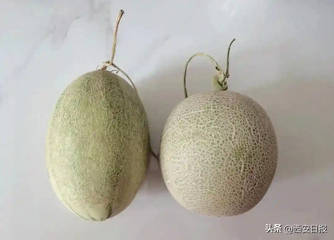 这种水果很甜，热量却很低，还是补水好帮手！
