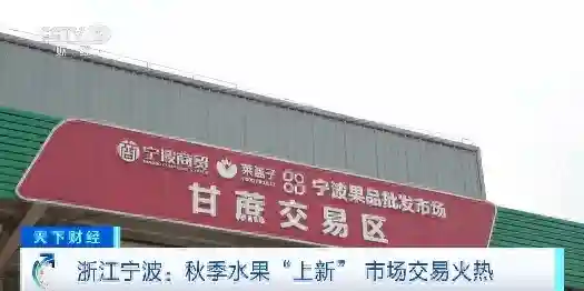 宁波秋季水果“上新”了！香梨、三红柚...都是抢手货→
