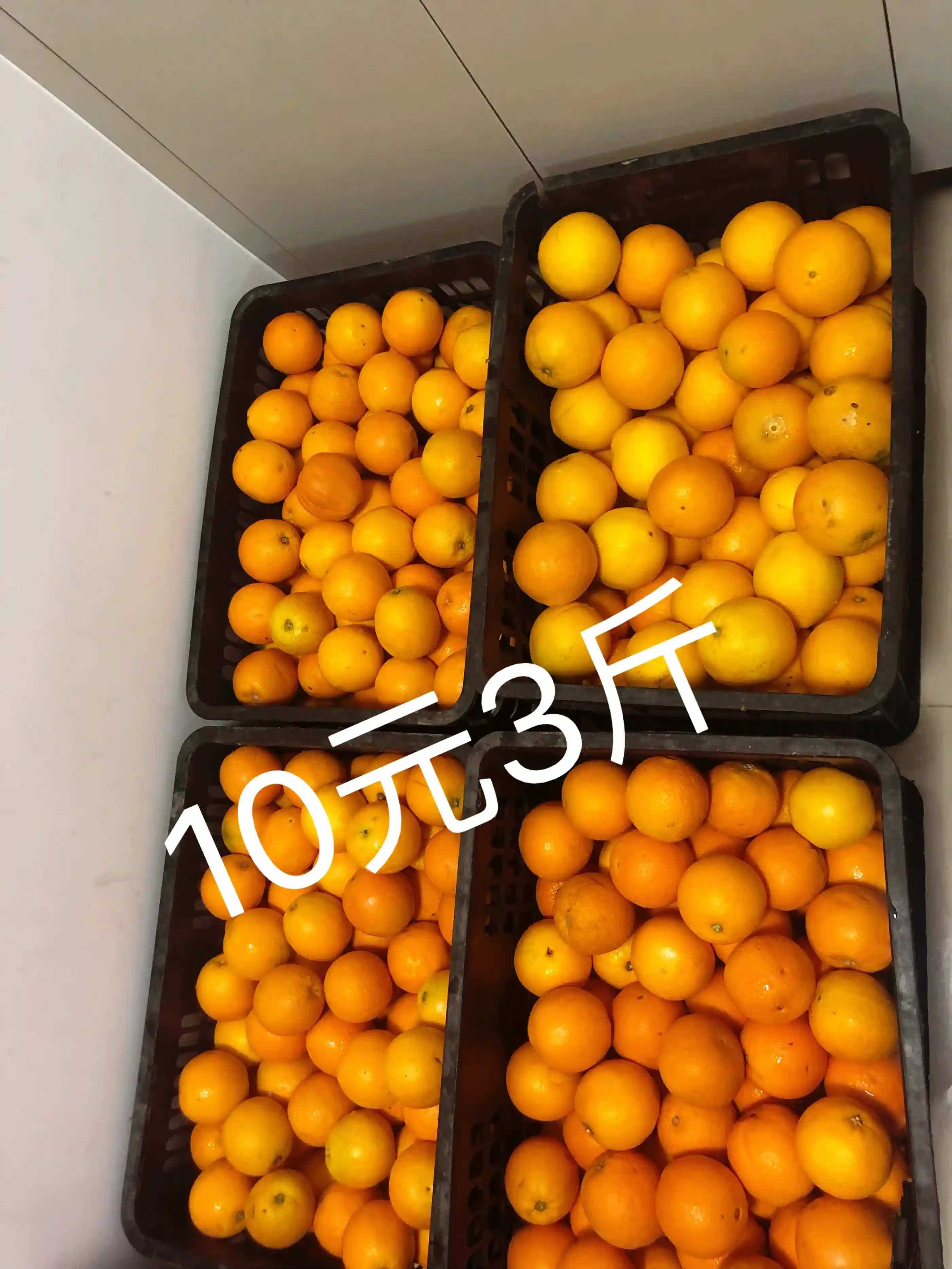 下班后的黄金3小时，我在深圳做副业卖水果