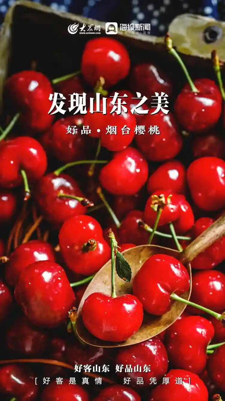 好客山东 好品山东丨微距镜头下的水果之美