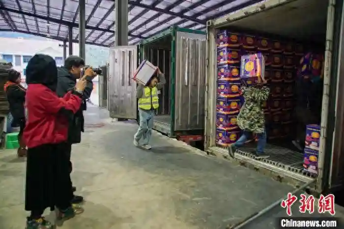 外媒代表广西凭祥感受中国—东盟水果贸易火热