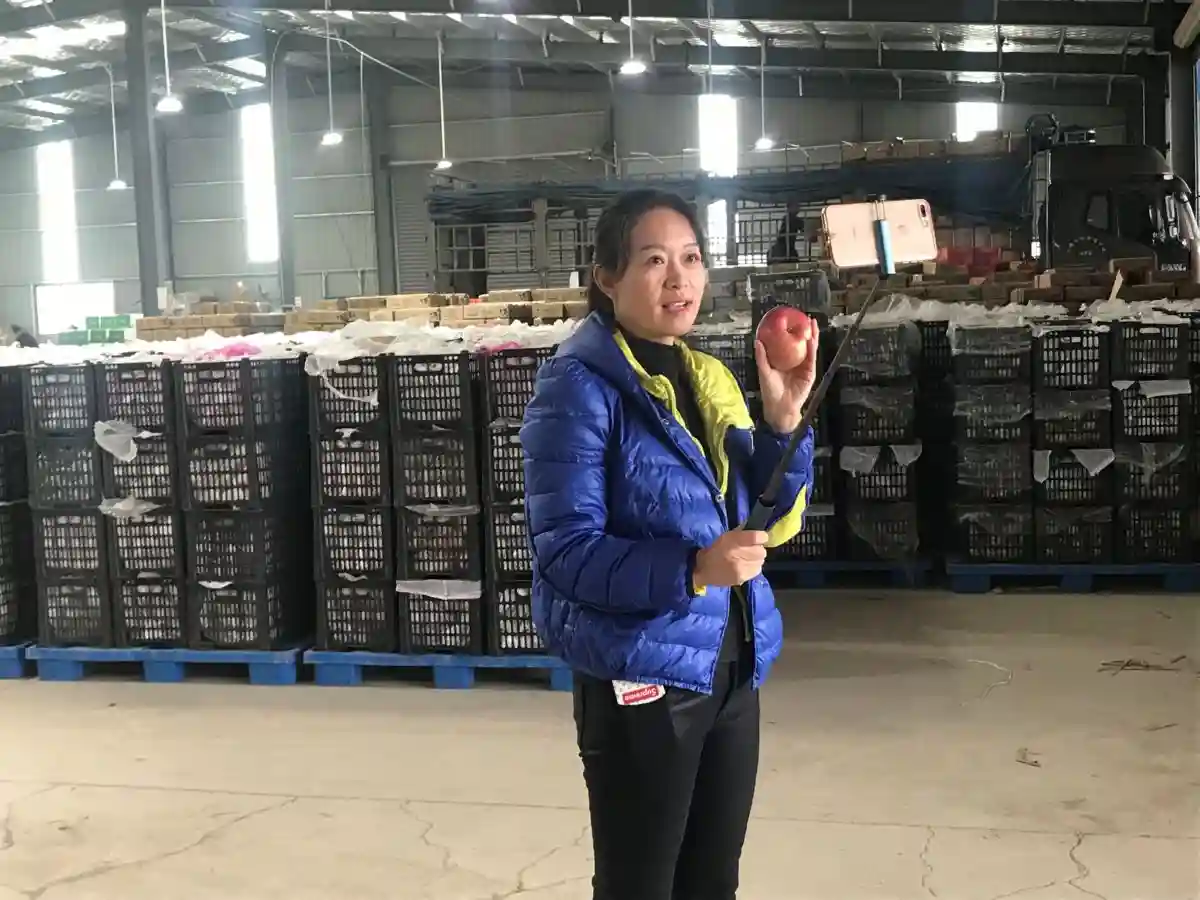 80后主播王研亲：要把咱运城水果卖到全国各地