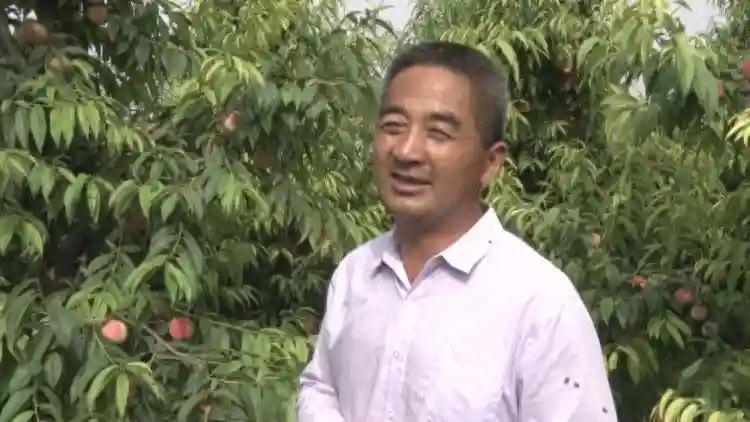 菏泽市成武县：打造别样种植经 富硒水果富农家