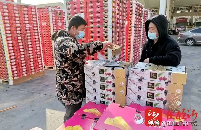 临沂：车厘子价格狂降 柑橘类、草莓成春季水果“主角”