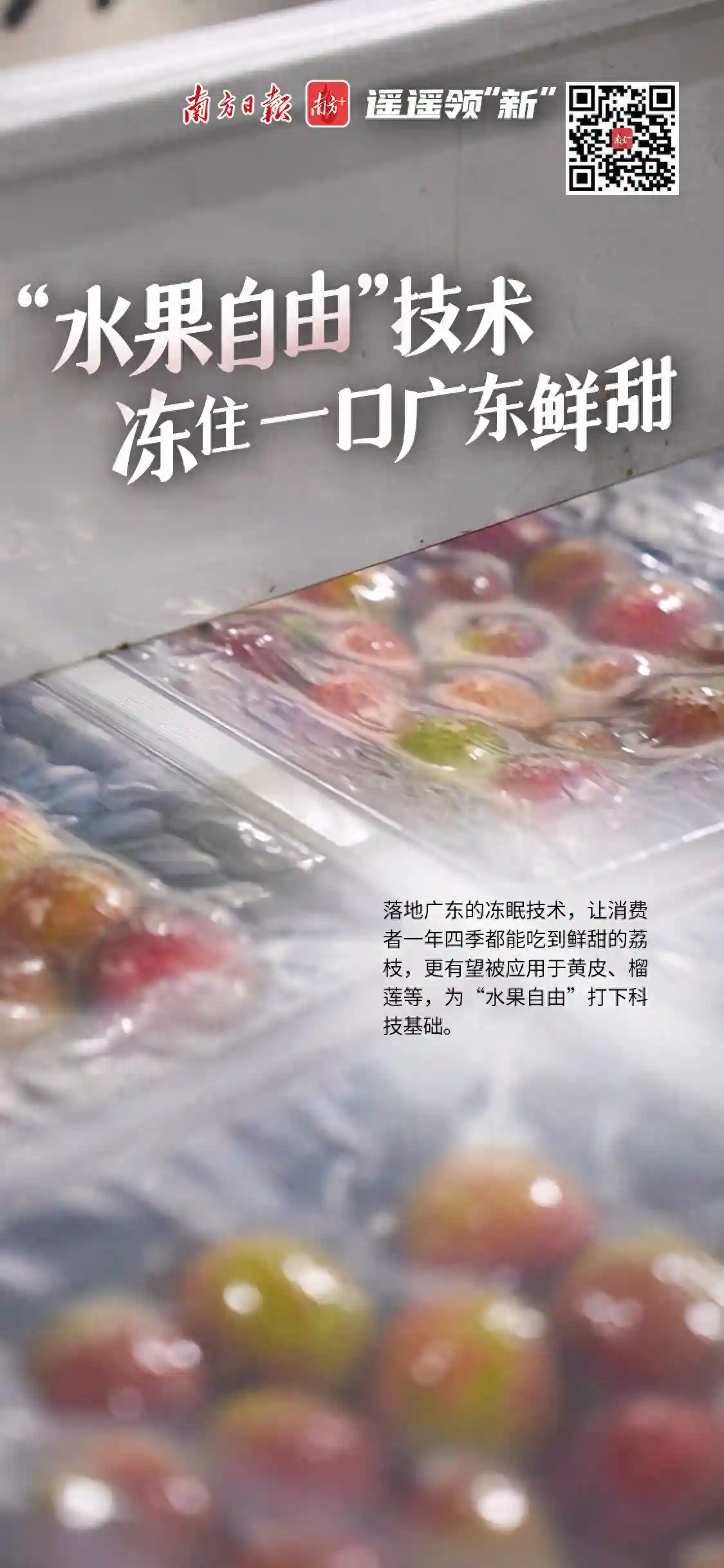 “水果自由”技术，为你冻住一口广东鲜甜丨遥遥领“新”